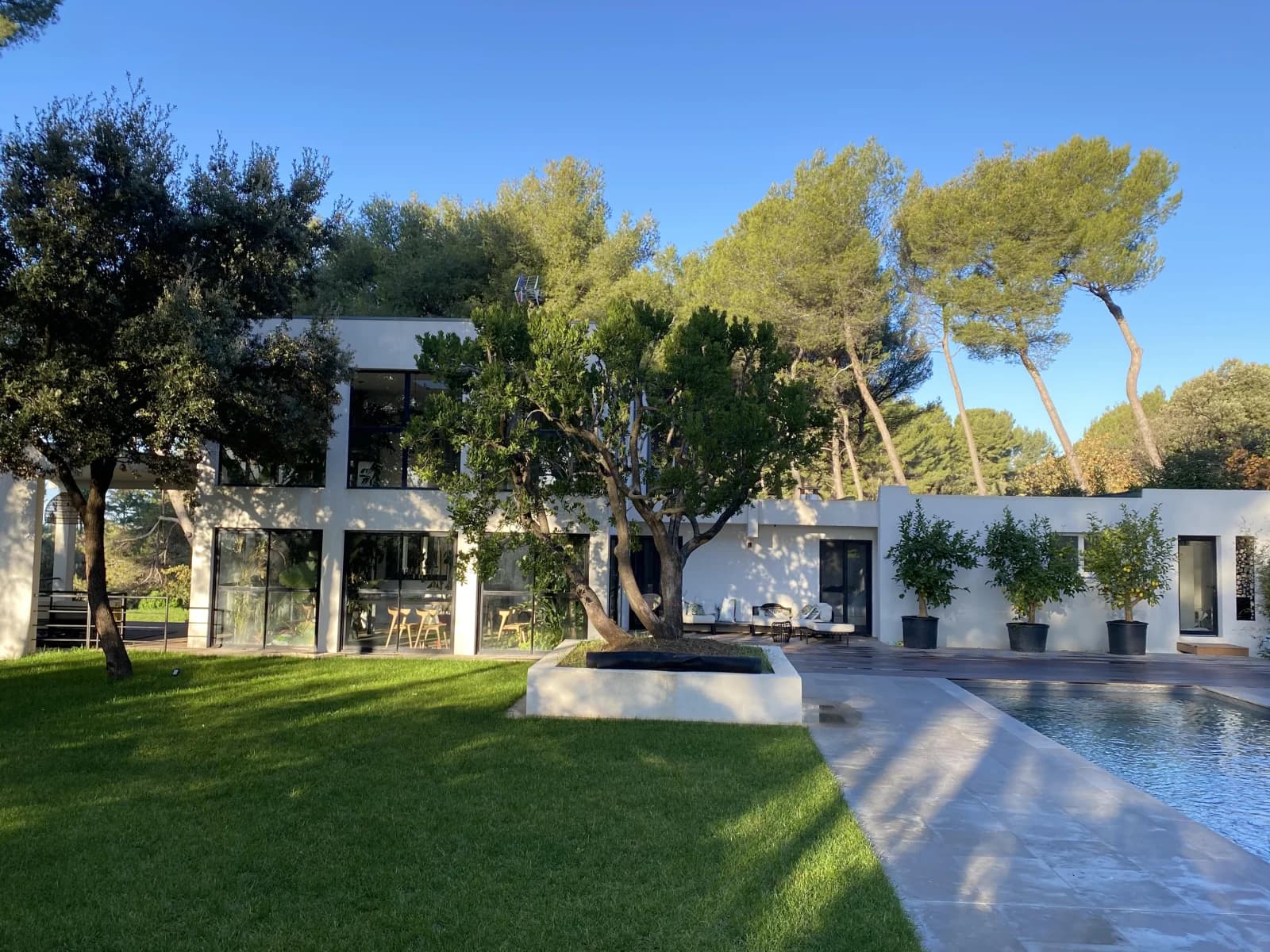 Comedor en El Jardín de Invierno: un oasis verde encantado - 1
