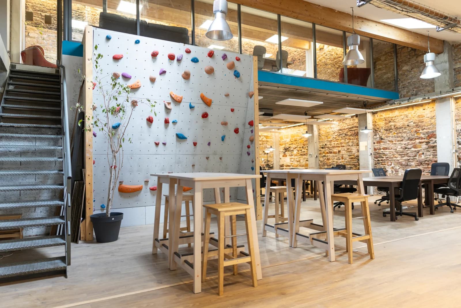 Space Home-like offices - climbing wall - 4