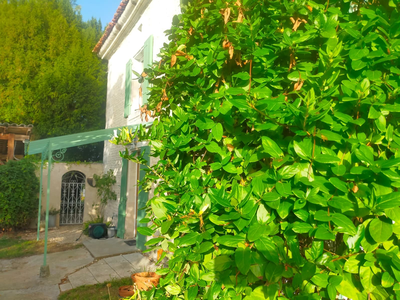 Space Former farmhouse and landscaped park on 5ha - 4