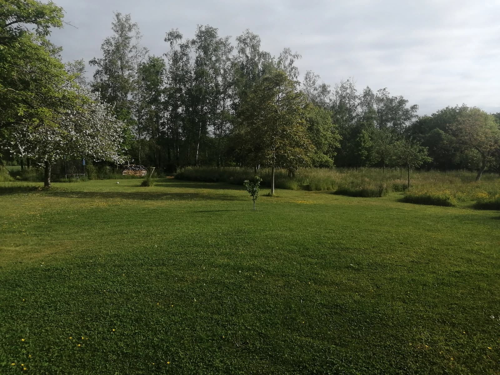 Comedor en Hogar tranquilo para una estancia de pura tranquilidad. - 1