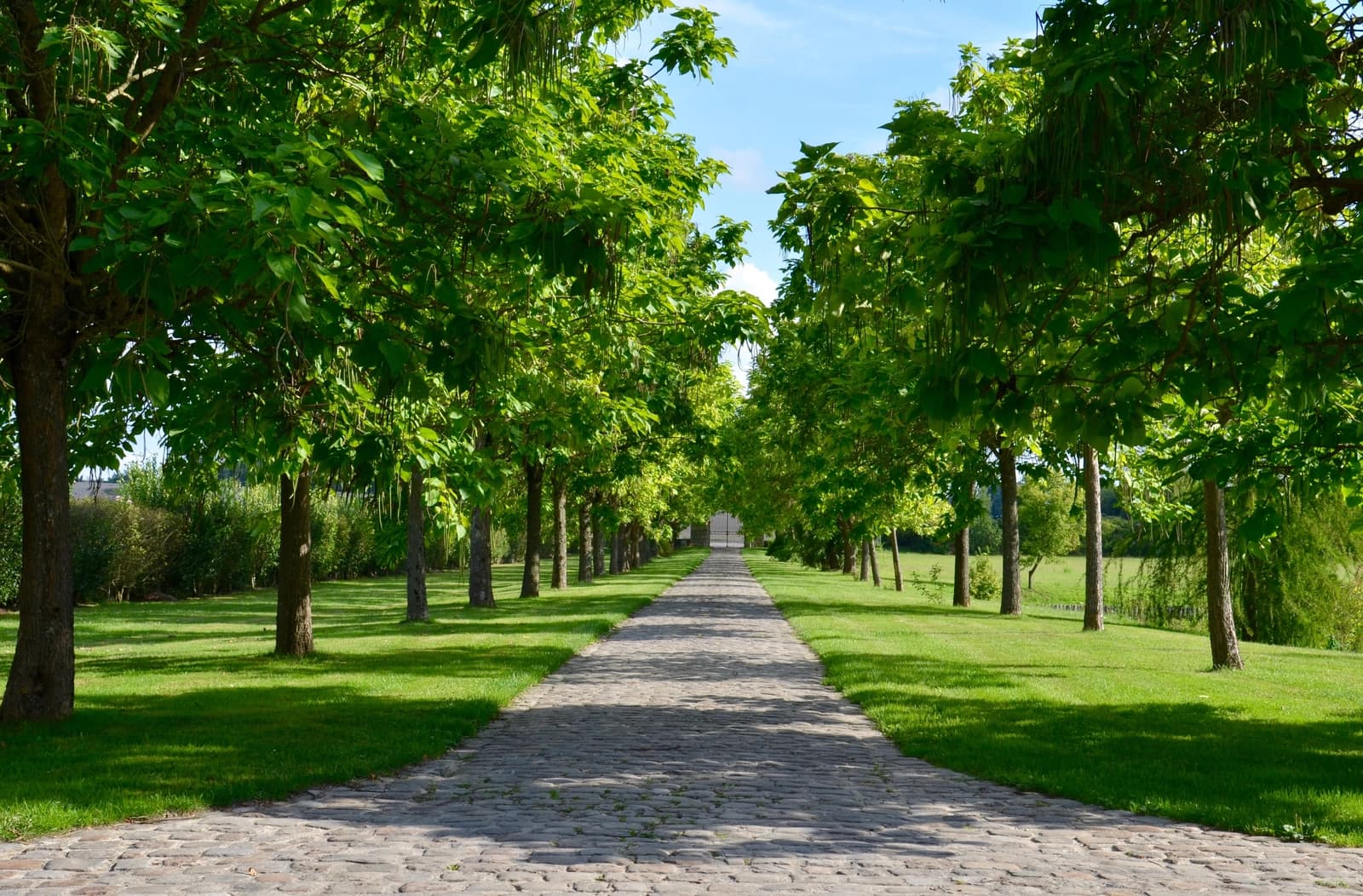 Space Charming estate near Paris - 3