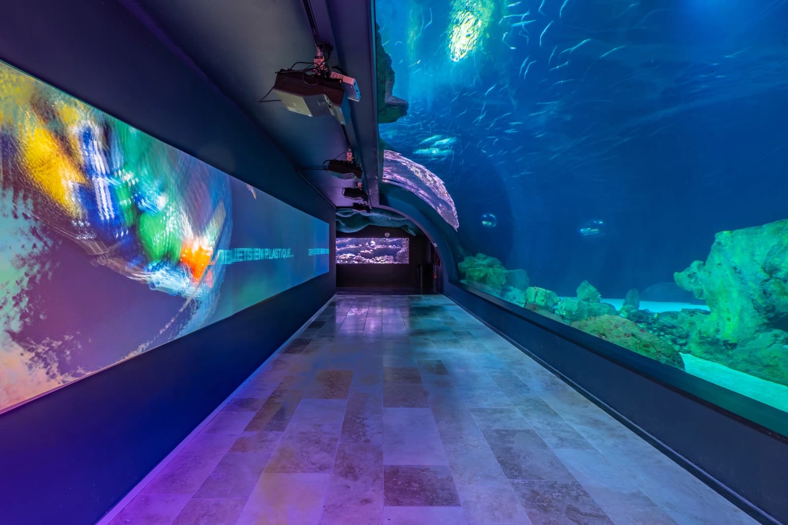 Space Aquarium in Paris - 4