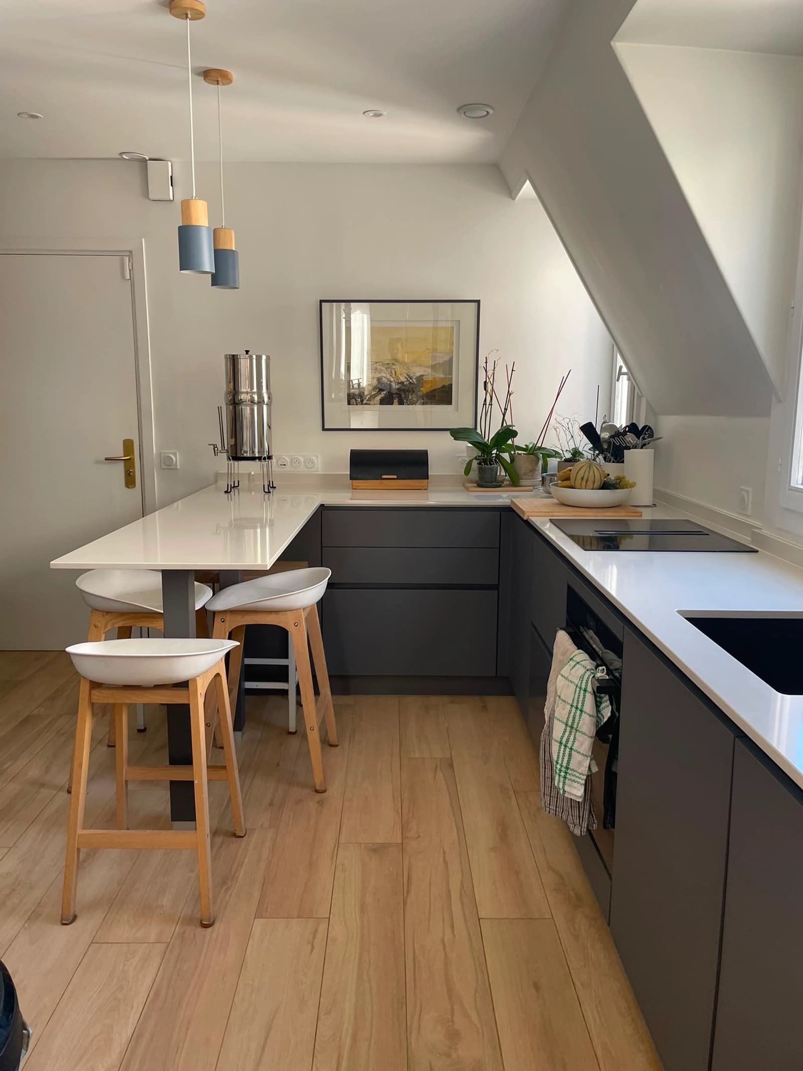 Space Bright family apartment with a 75 m² vegetated rooftop - 3