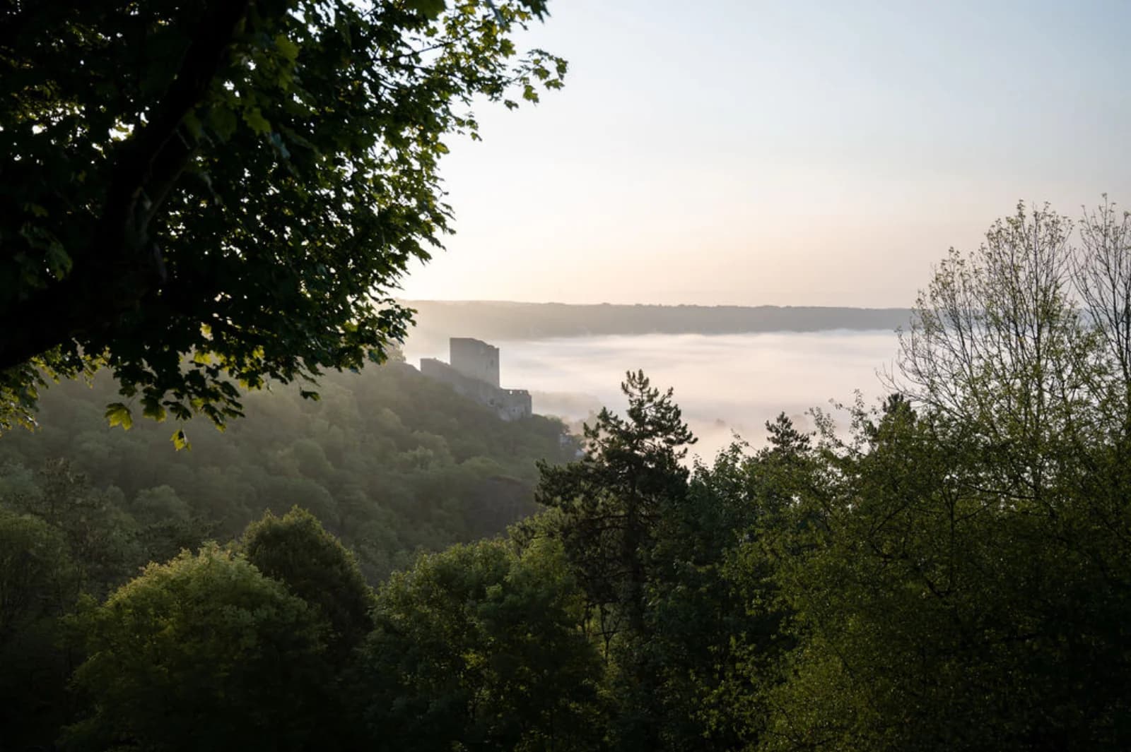 Space Lucile's Paradise, dream view, Giverny 10 mn - 2