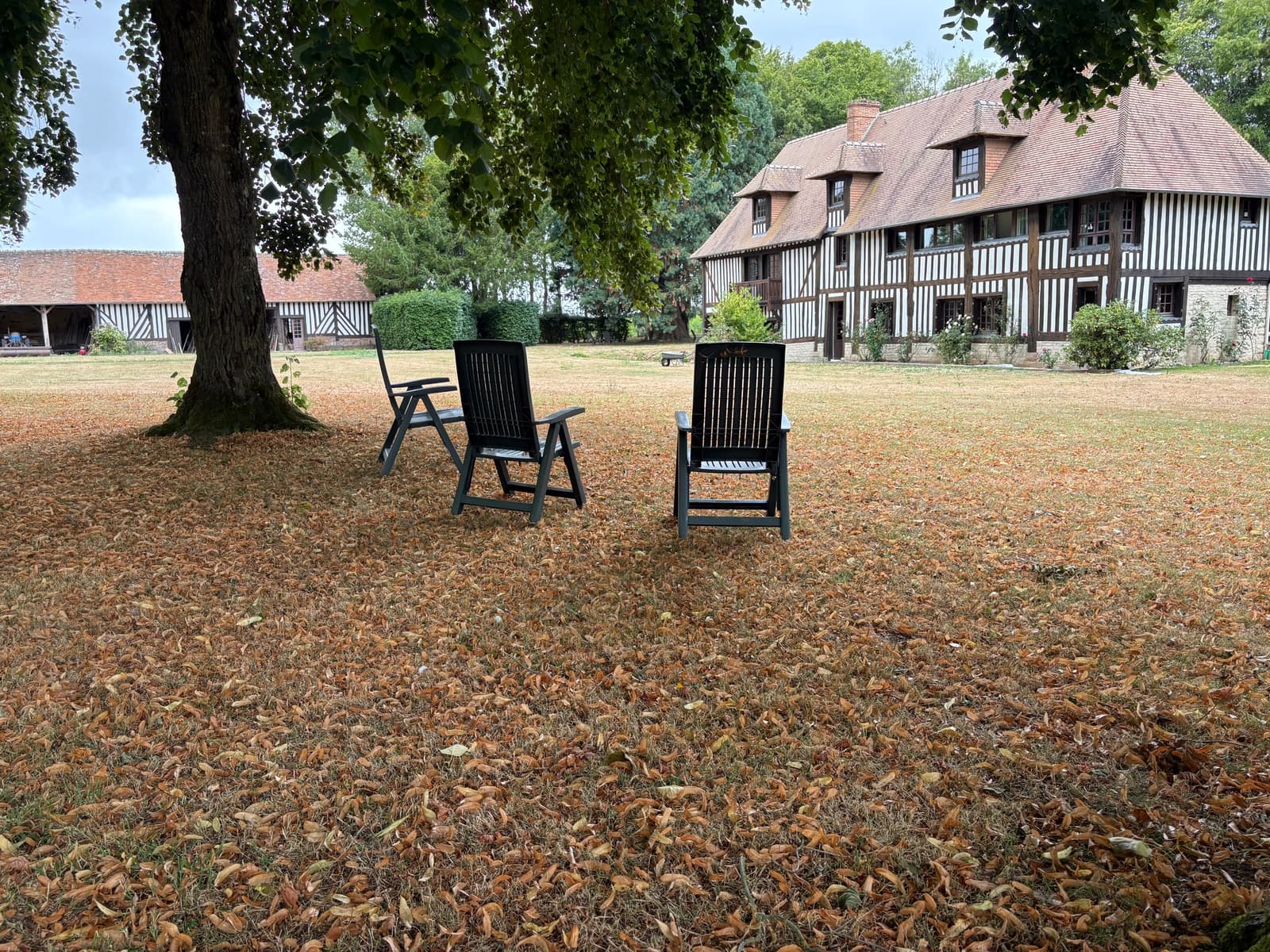 Space Norman Manor from the 17th Century - Private 1ha Park - 2