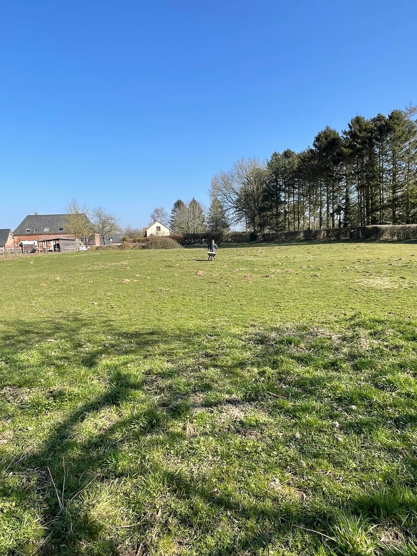 Espace Maison de maître en Normandie avec piscine, chevaux, gîtes et family room - 4