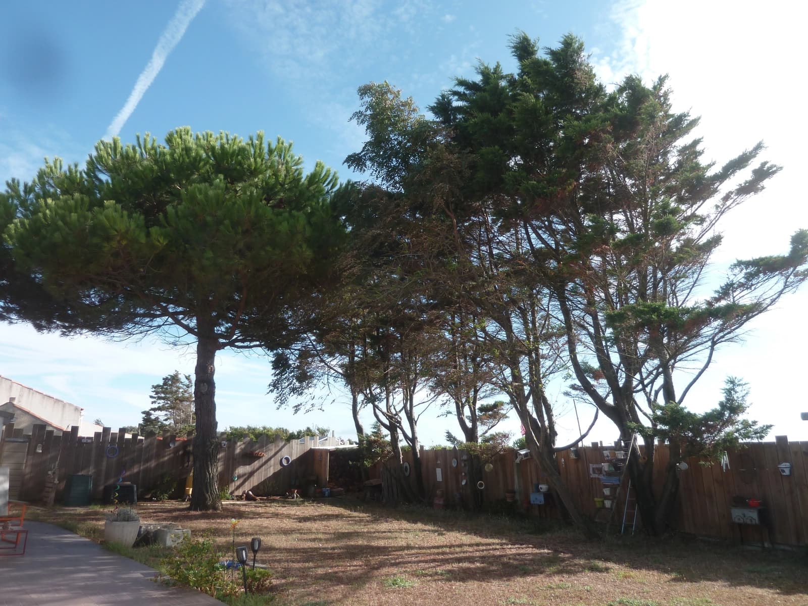 Salle de réunion dans Maison chaleureuse et accueillante près des plages - 1