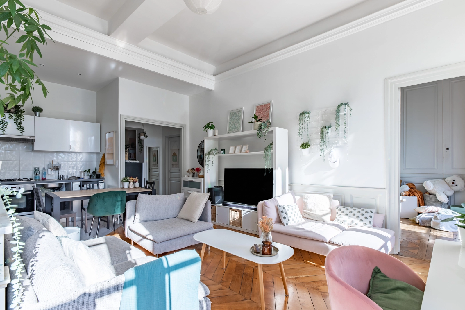Espace Appartement Haussmannien avec vue sur le Rhône - 4