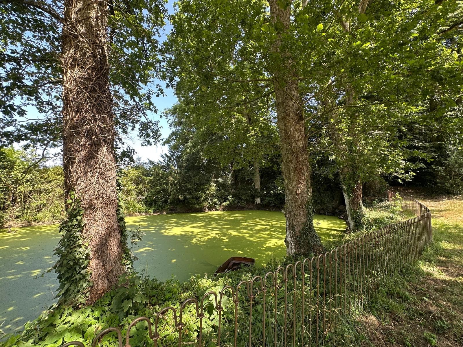 Espace Manoir du Plessis - 4