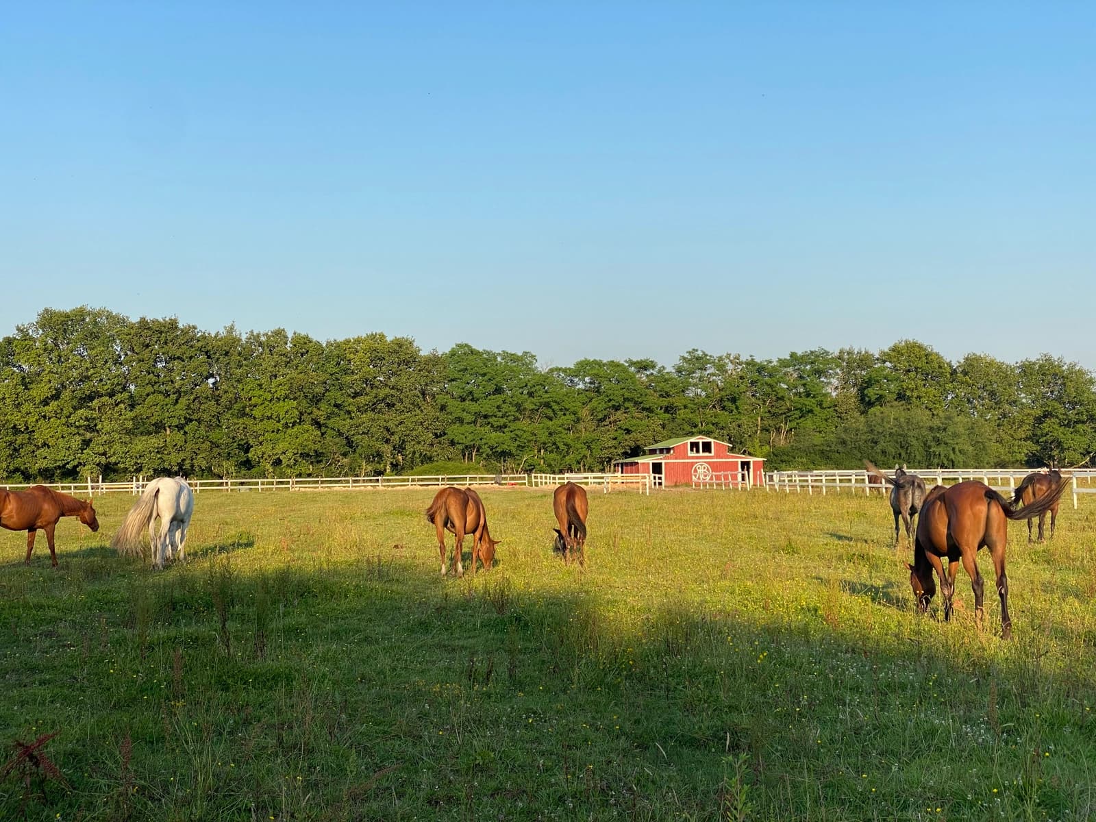 Espace Ranch Ecurie, ambiance Yellow Stone en Sologne - 3
