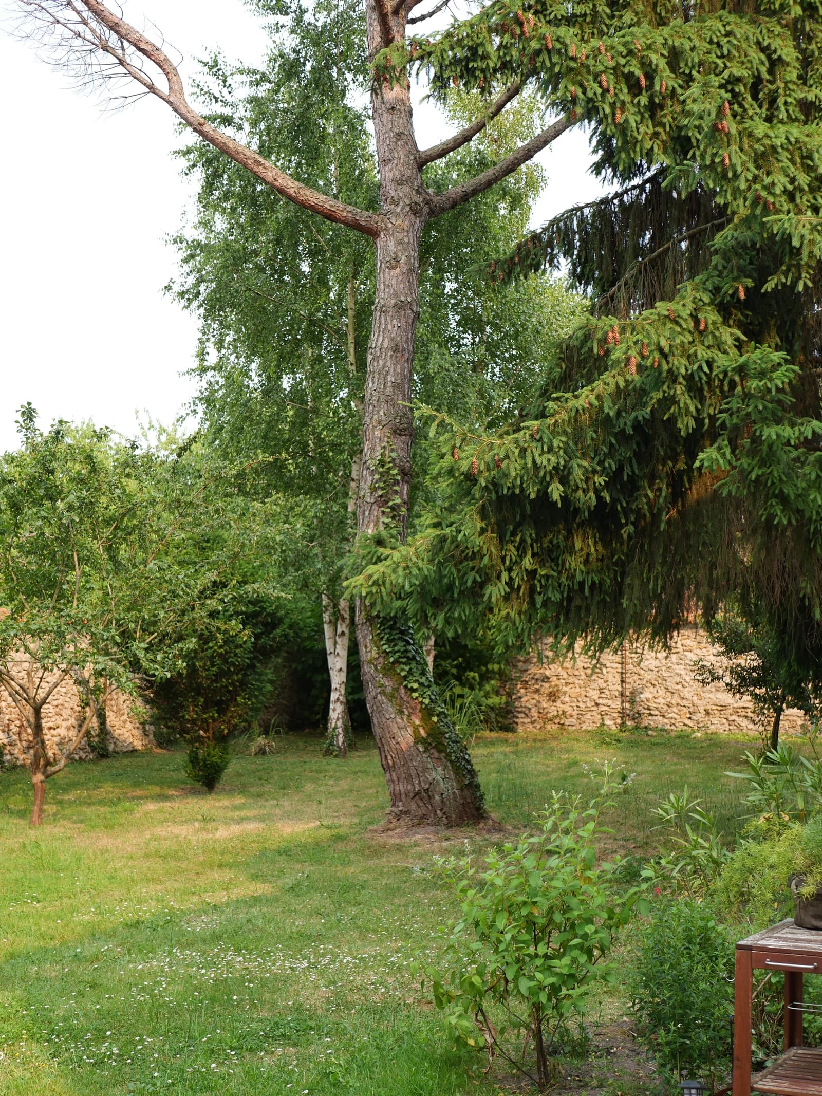 Space The elegance and prestige of an authentic manor house - 4