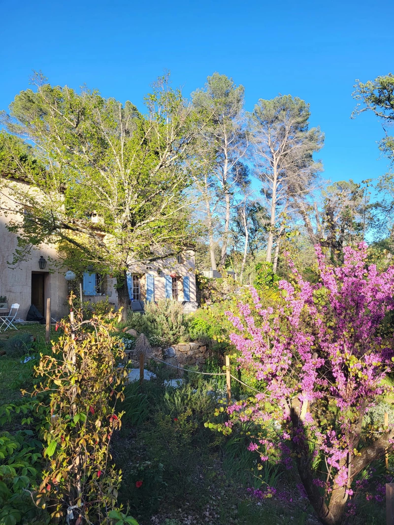 Space A Bucolic Haven of Peace in Provence - 1