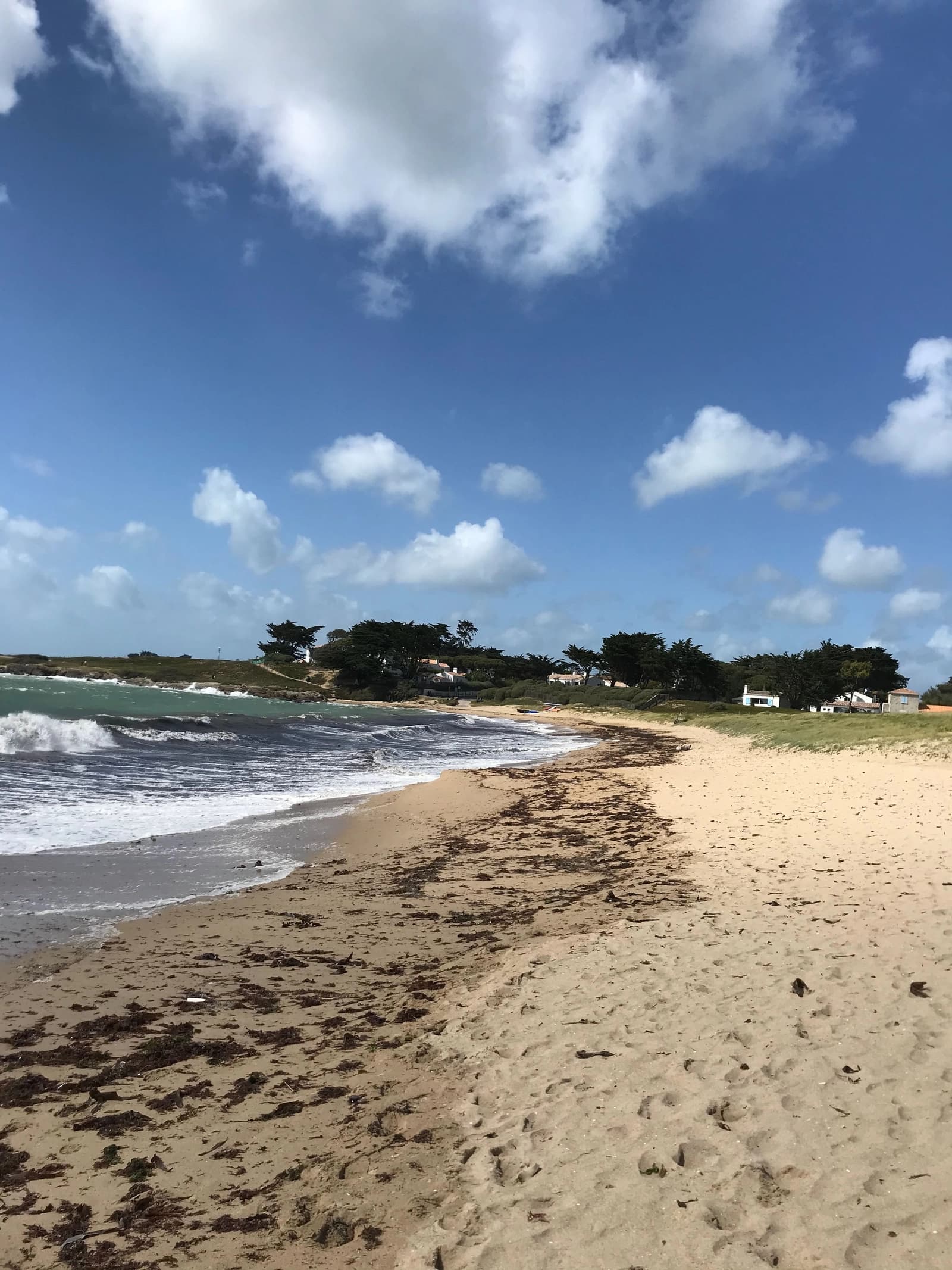 Espace Maison de famille face à l'Océan à Noirmoutier - 4