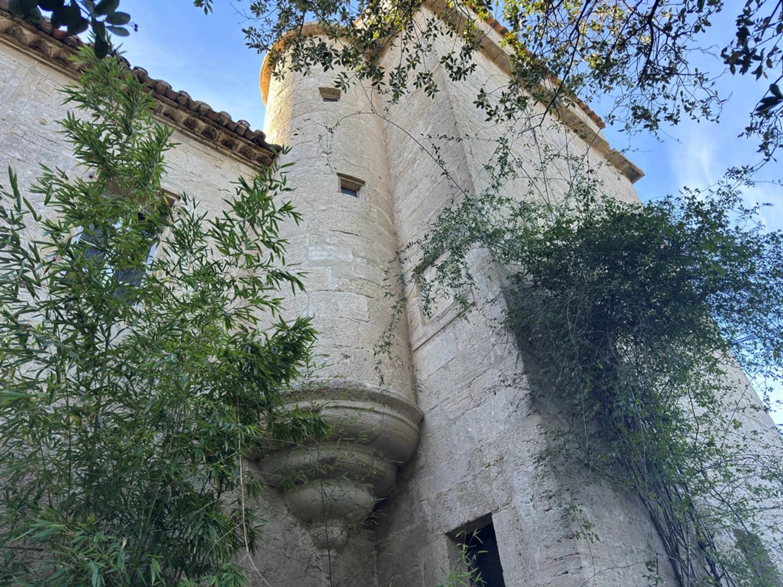 Espace Ancien Mas familial datant de 1606 - 0