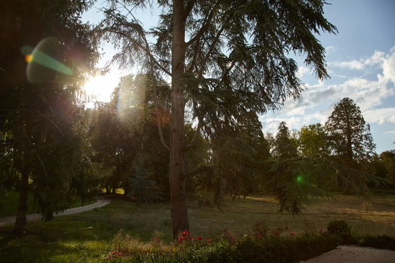 Salle de réunion dans Château de Sologne: un domaine forestier d'exception - 1
