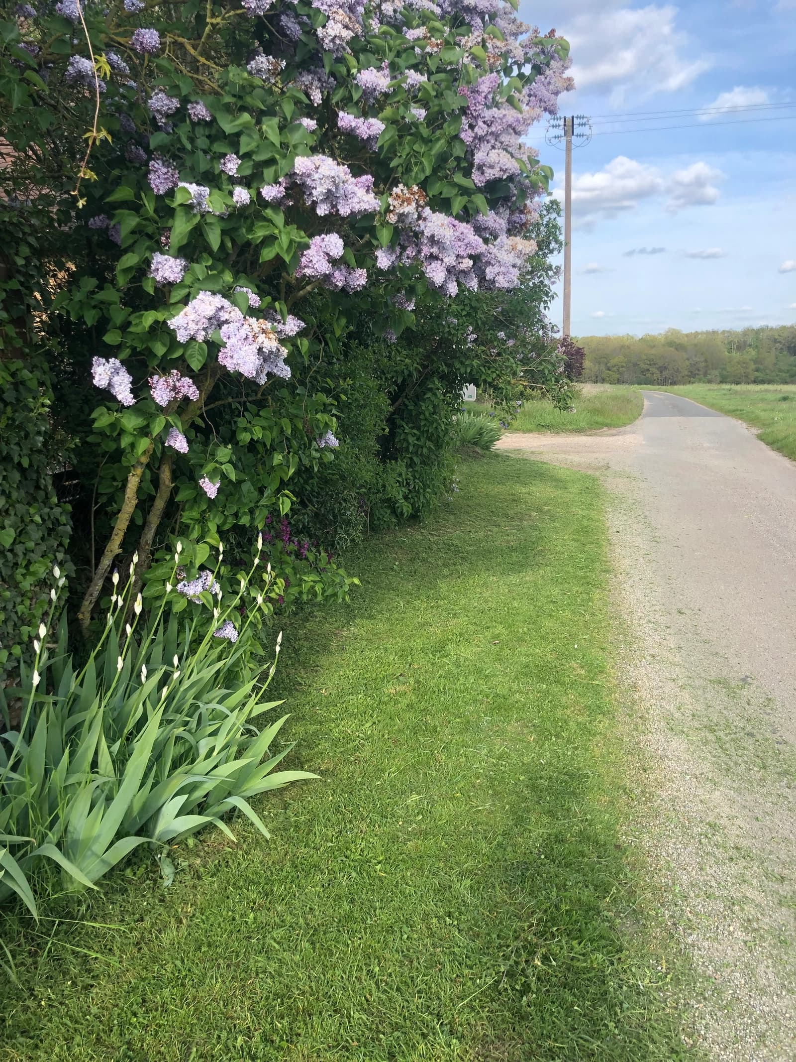 Space Restored cottage & wild garden - visual spotlight 90 min from Paris - 4