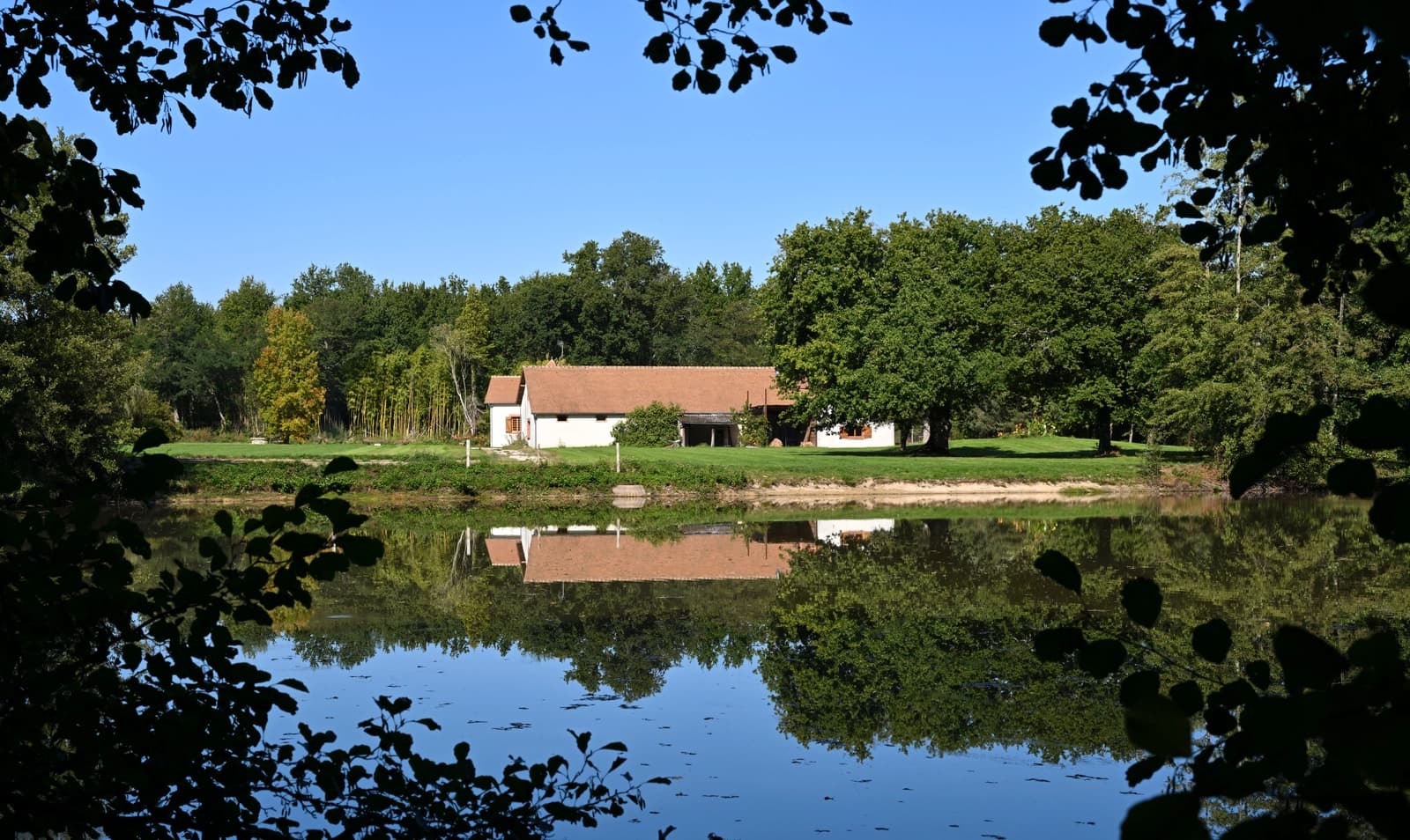 Space Large house with woods, pond and barn - 4