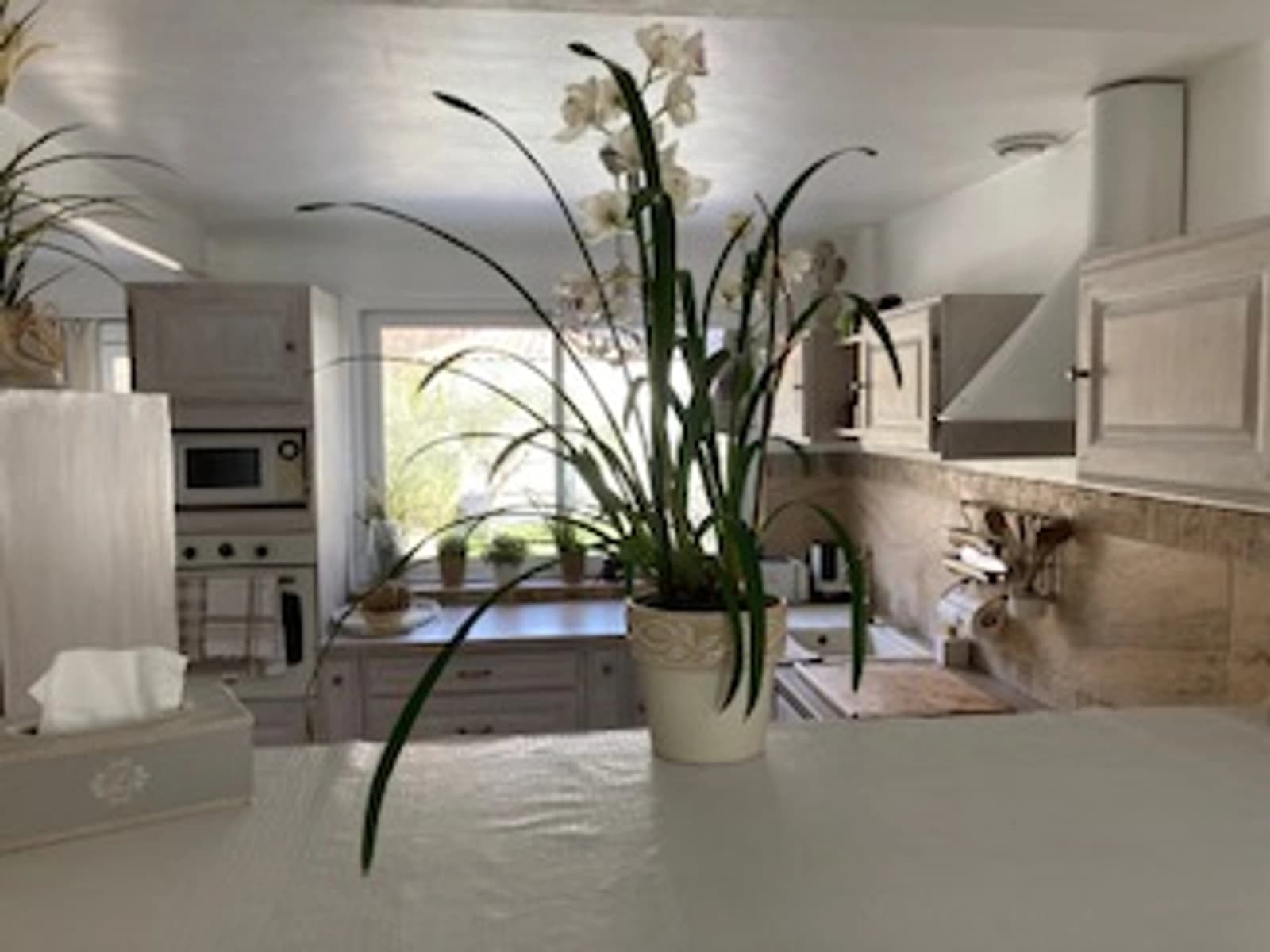 Space Charming house with garden - 3