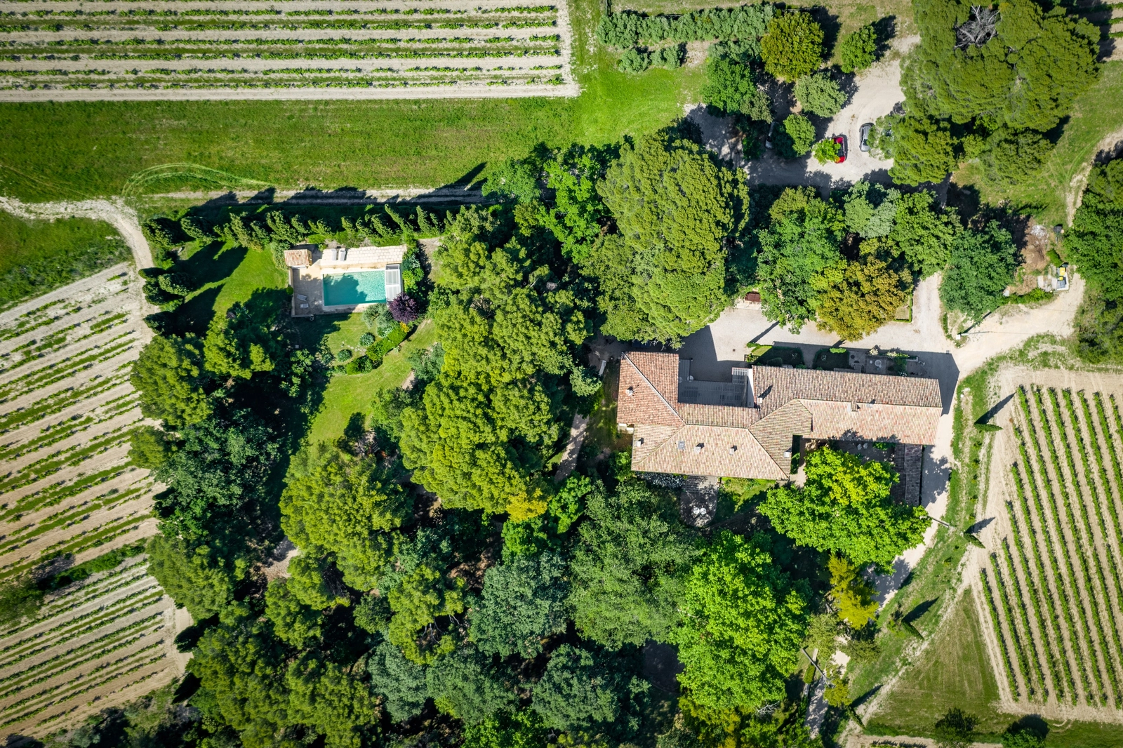 Space Provençal château at the foot of Mont Ventoux - 1