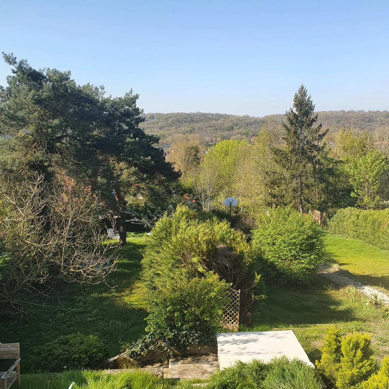 Meeting room in The Queen of the Magpies in the great park of Versailles - 1