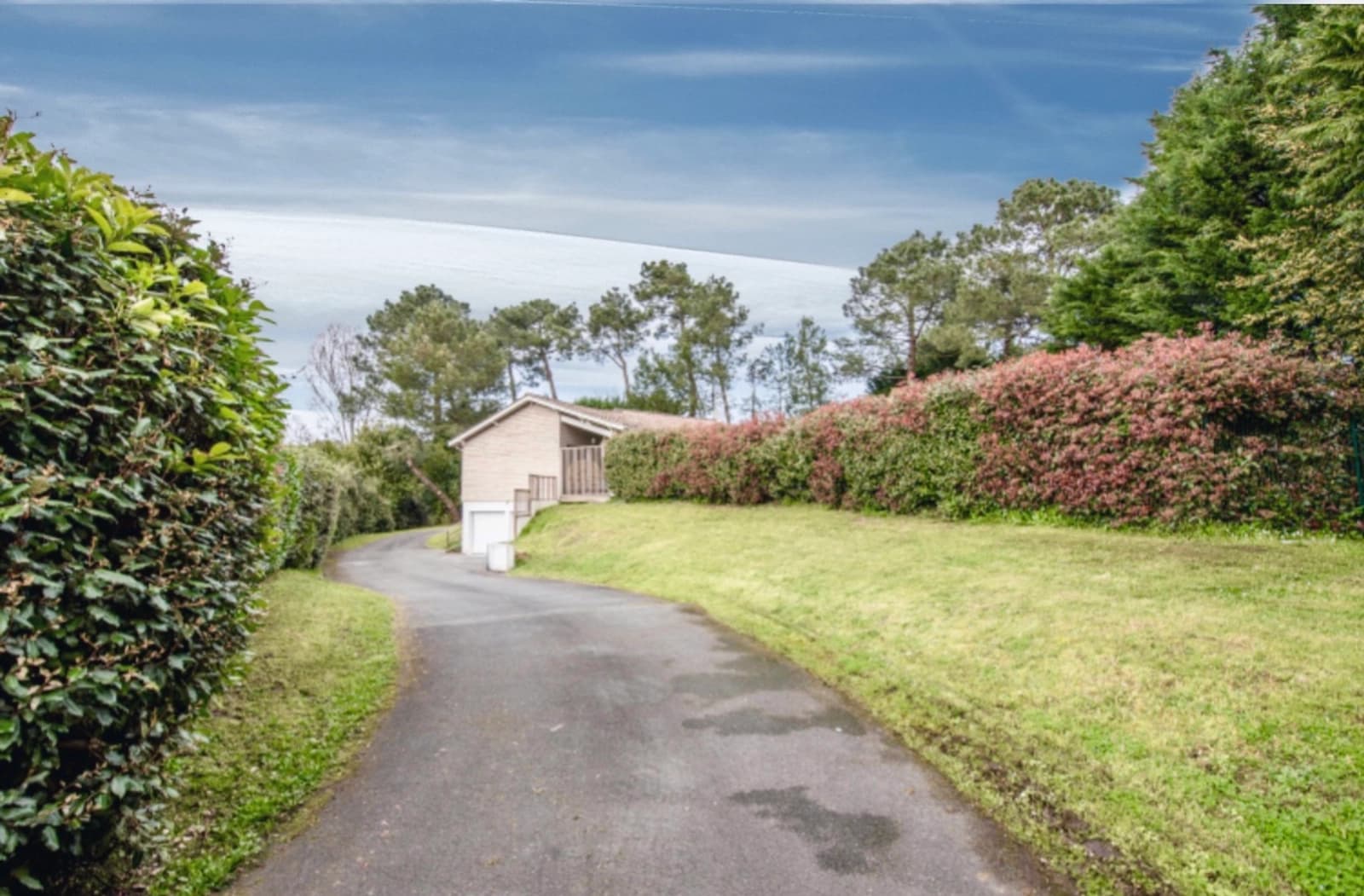 Large house in the heart of the pines