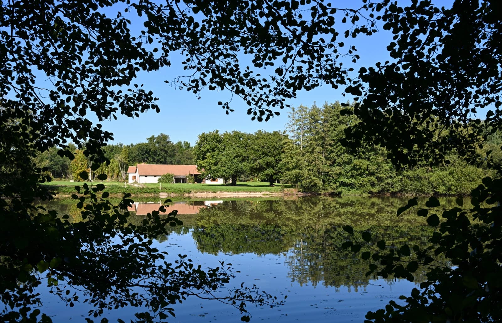 Space Large house with woods, pond and barn - 1