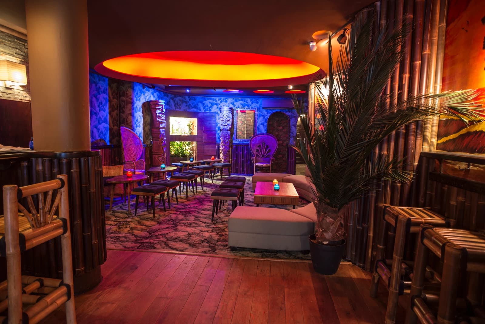 Espace Bar tropical immersif et cinématographique - 4