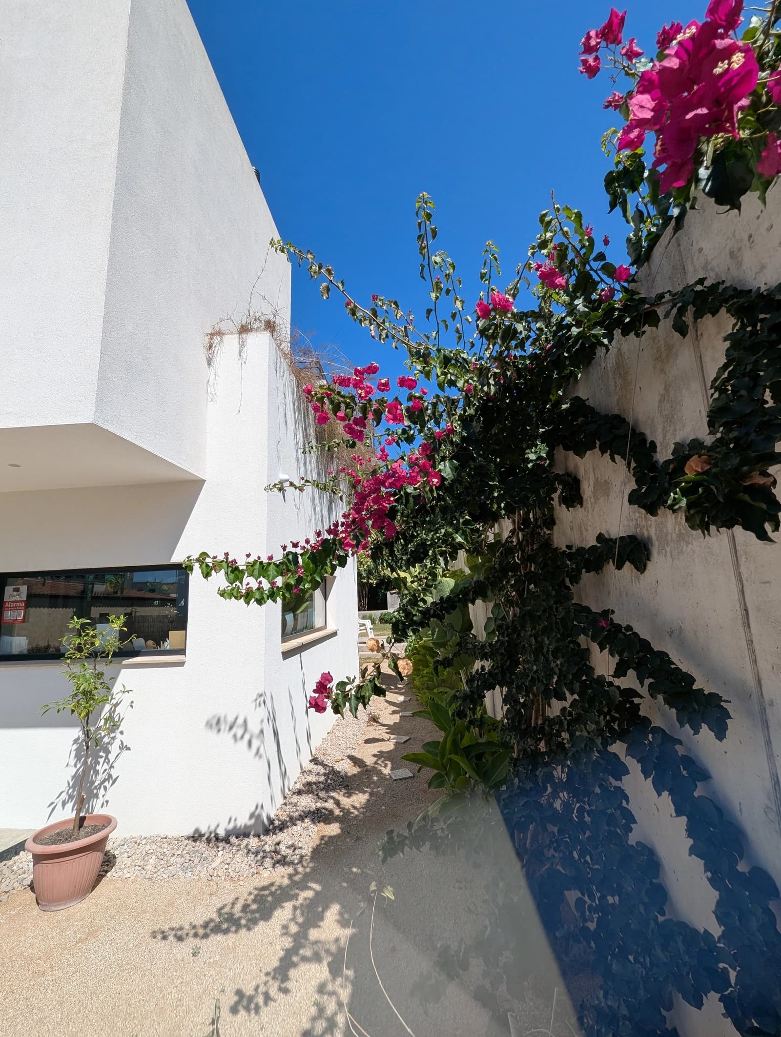 Space House with gardens and views in Montjuïc - 1
