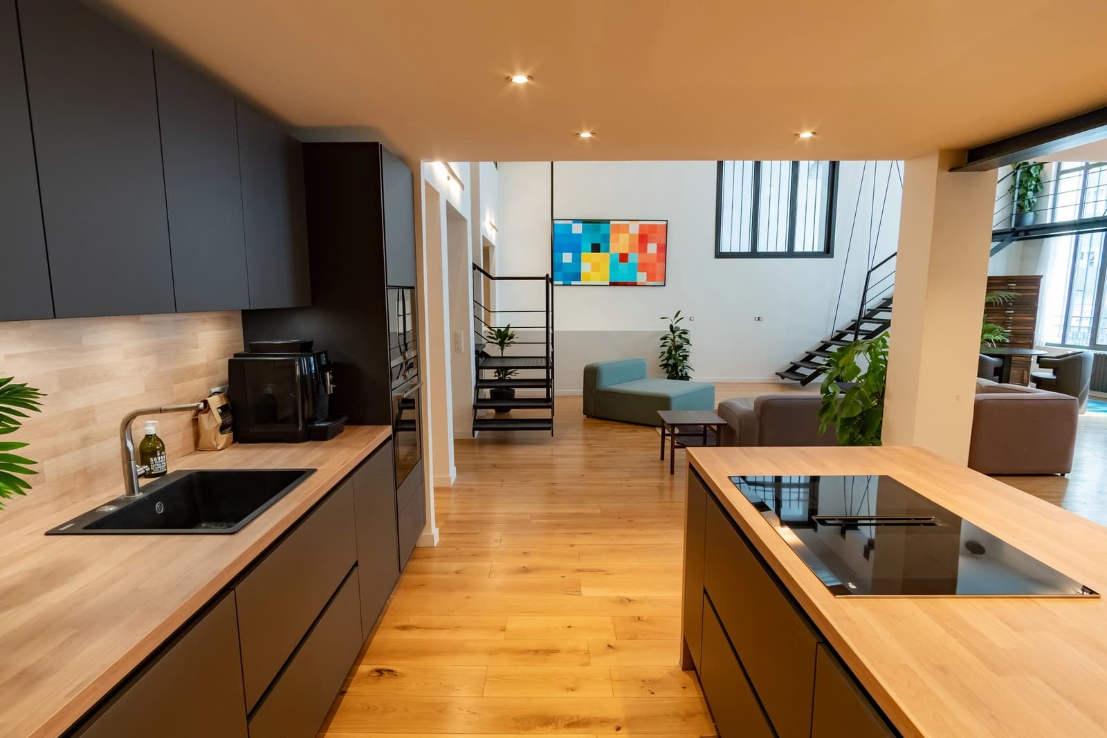 Espace Le Grand Loft Saint Martin - 1