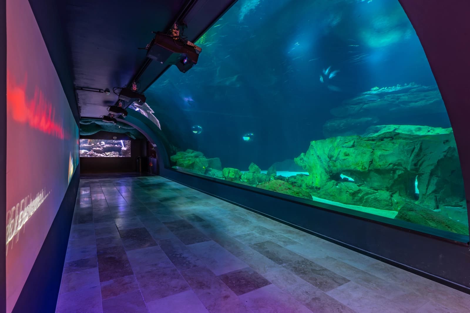 Space Aquarium in Paris - 5
