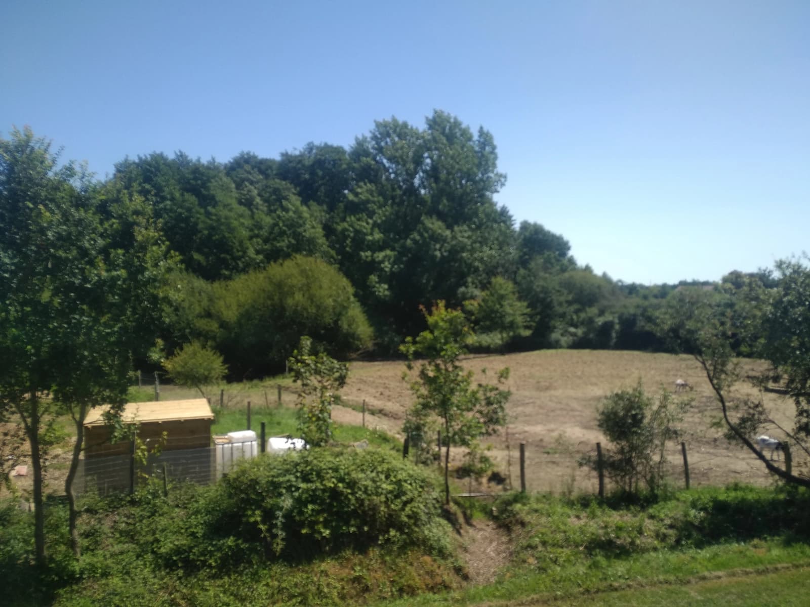 Espace Mini-ferme calme et inspirante - 2