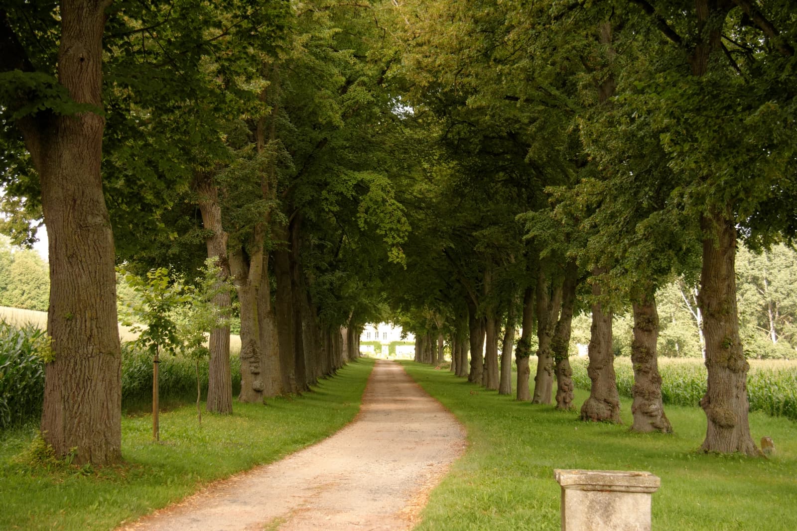 Space Classic-style château in Puy-de-Dôme for exterior filming, photo shoots, and events - 2
