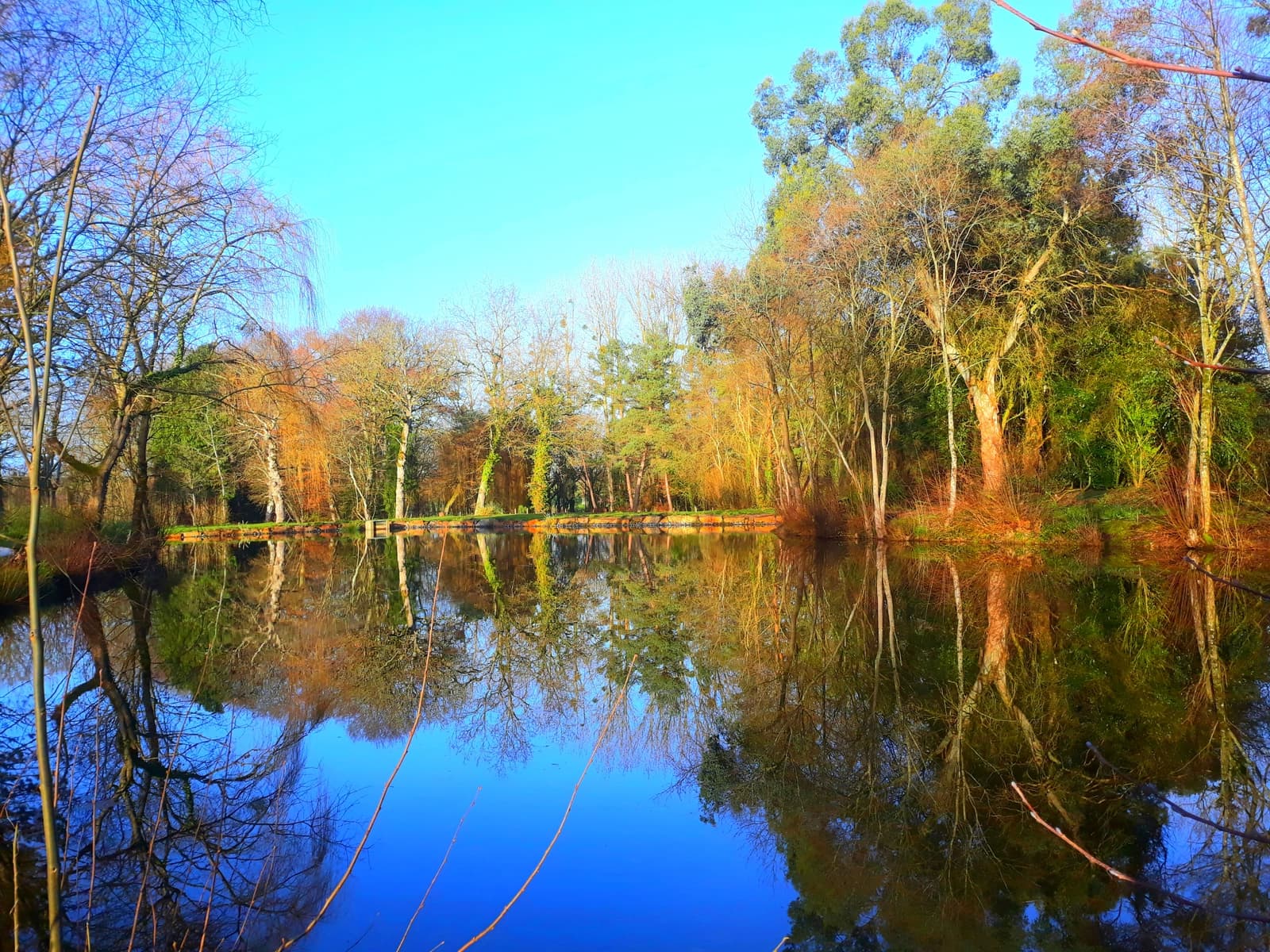 Espace Manoir Breton de charme et son écrin de verdure - 4