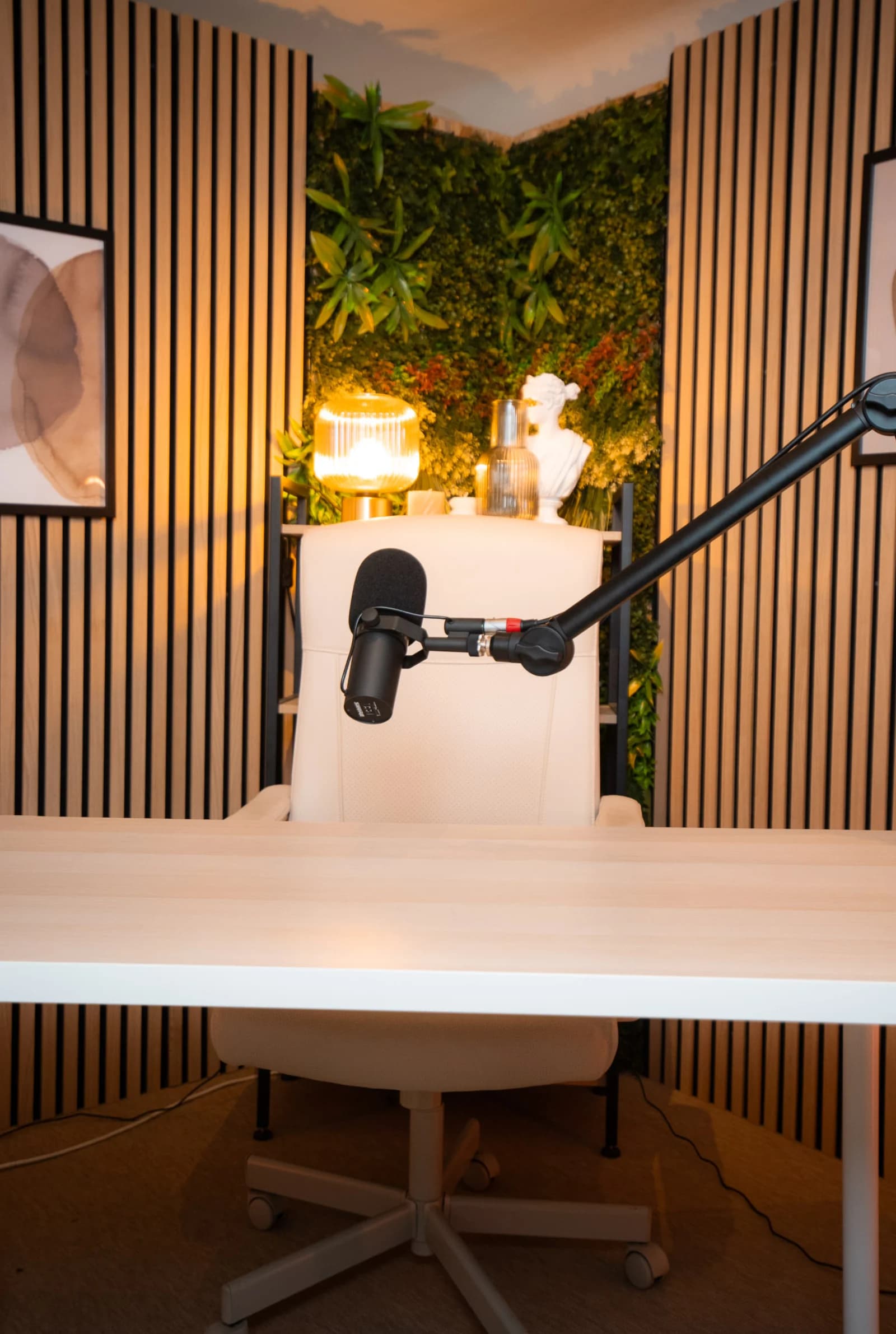 Espace Studio de podcast équipé - 4