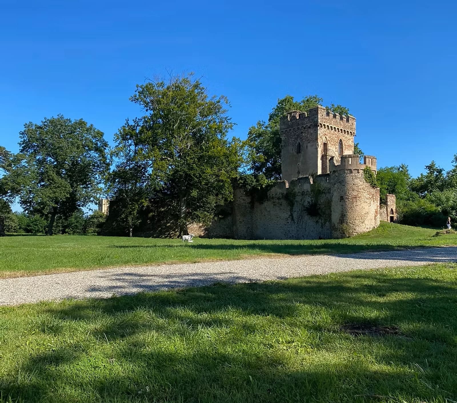 Espace Château de Niedernai - mille ans d'histoire, entre héritage médiéval et raffinement du XIXème - 4