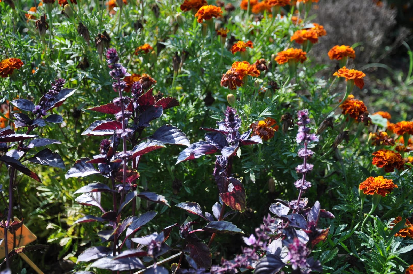 Espace Ferme authentique dans une grange, tout le confort moderne - 4