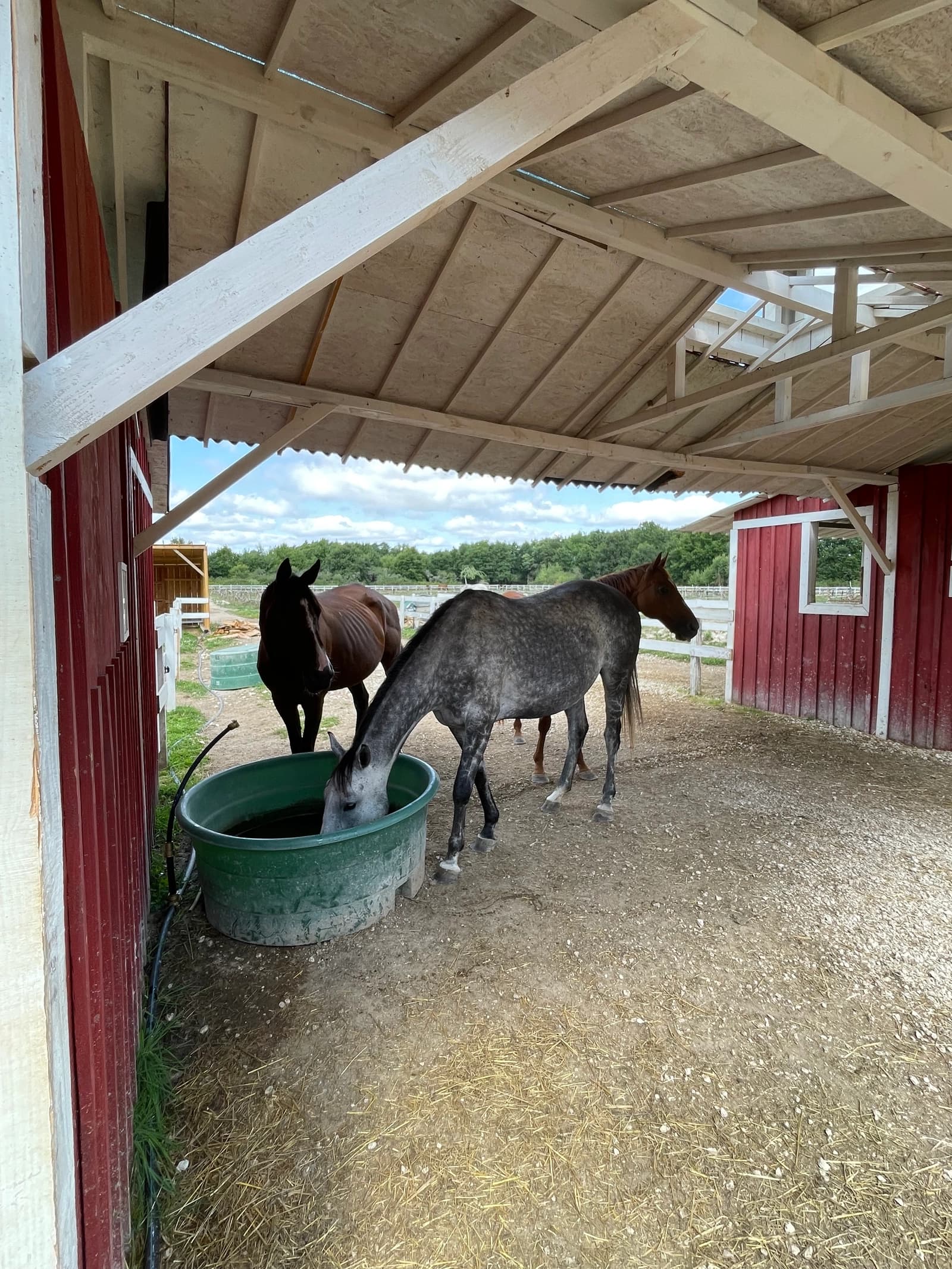 Espace Ranch Ecurie, ambiance Yellow Stone en Sologne - 1