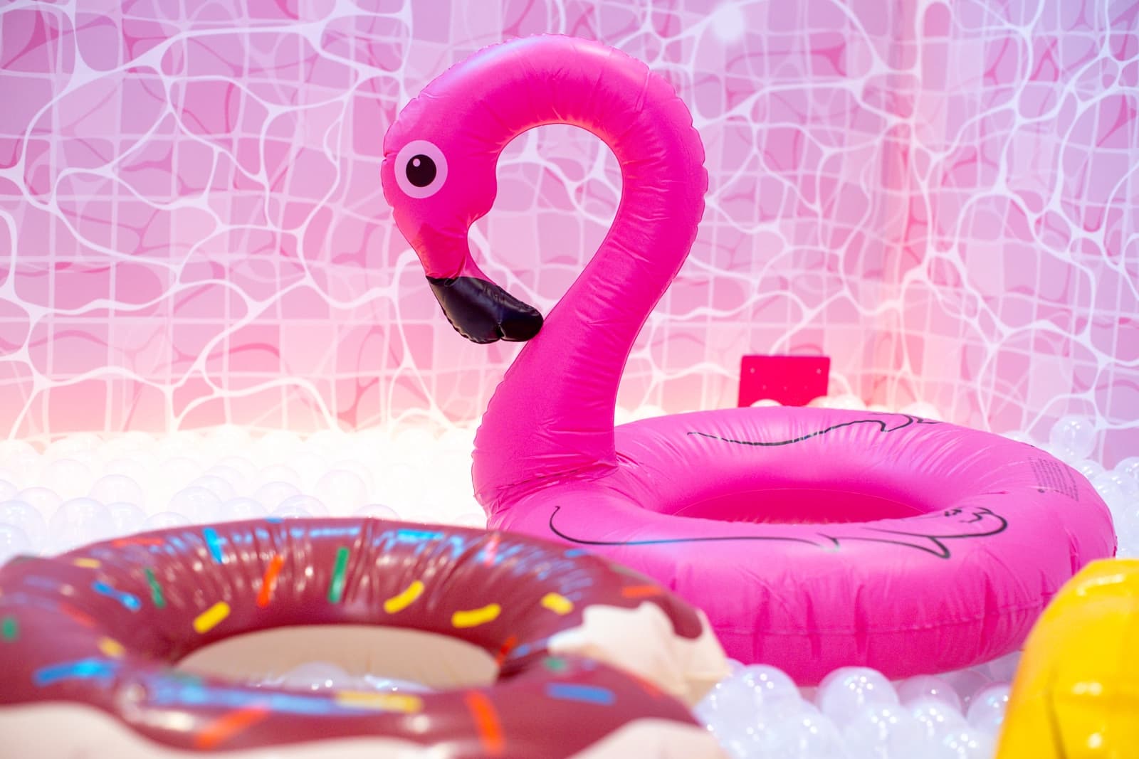 Espace Studio pop et coloré - 4