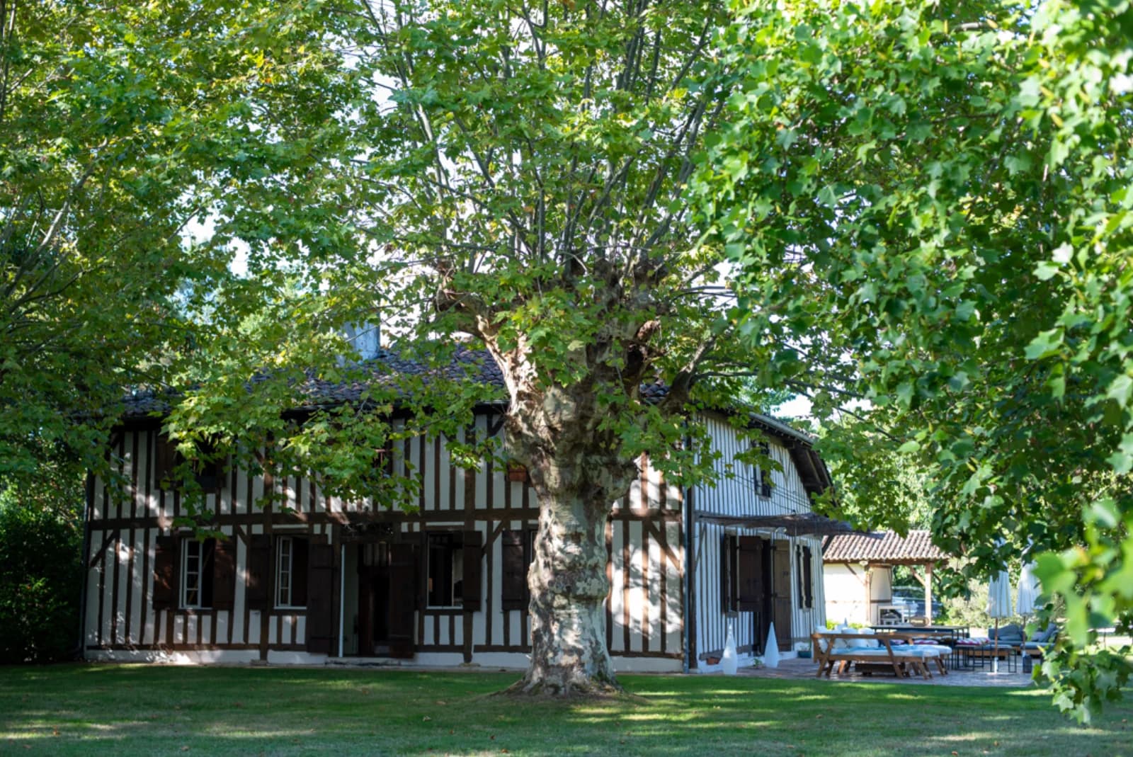 Space Estate in the heart of the Landes forest - 4
