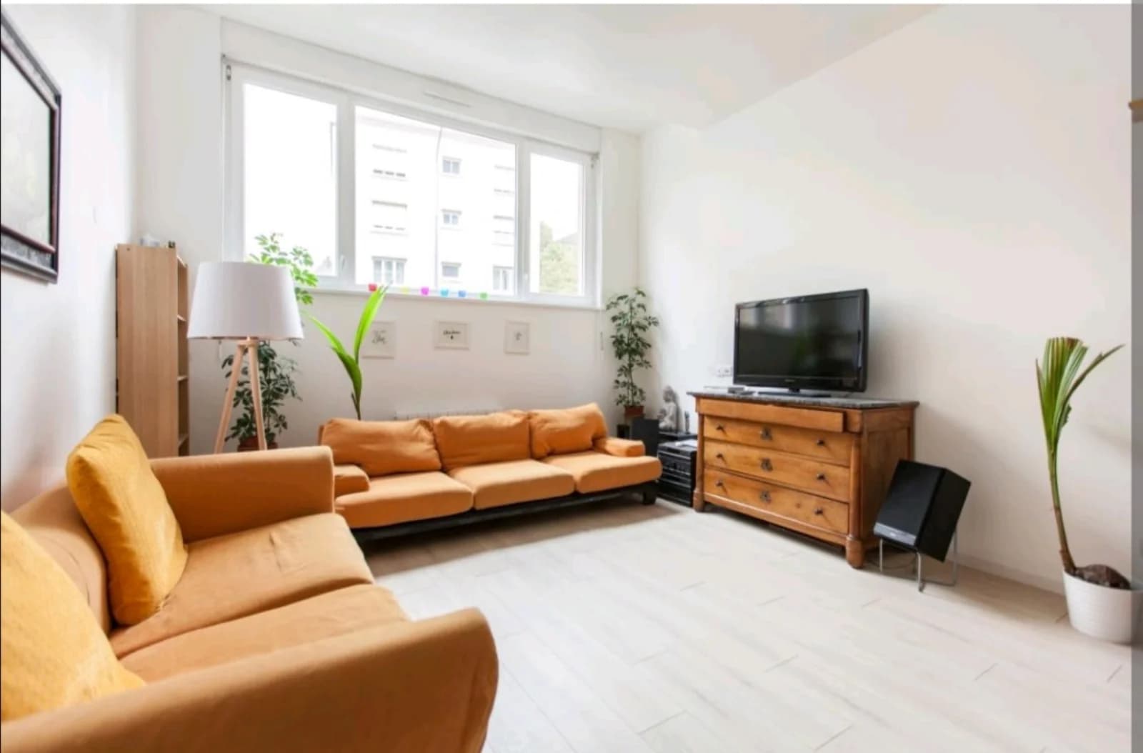Living room in Cosy and bright space Strasbourg Orangerie - 1