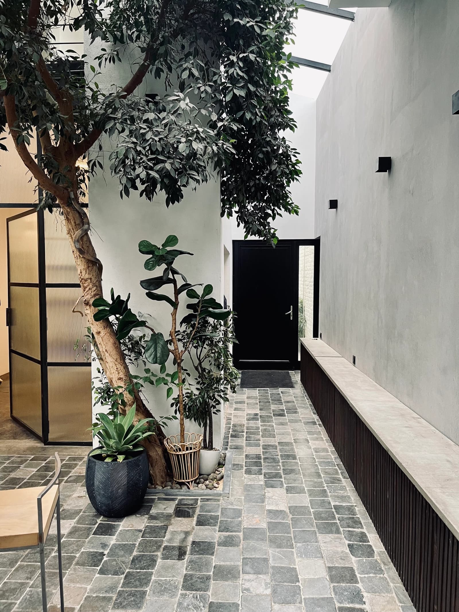 Espace Le Loft dans la Jungle: une évasion végétale unique - 3