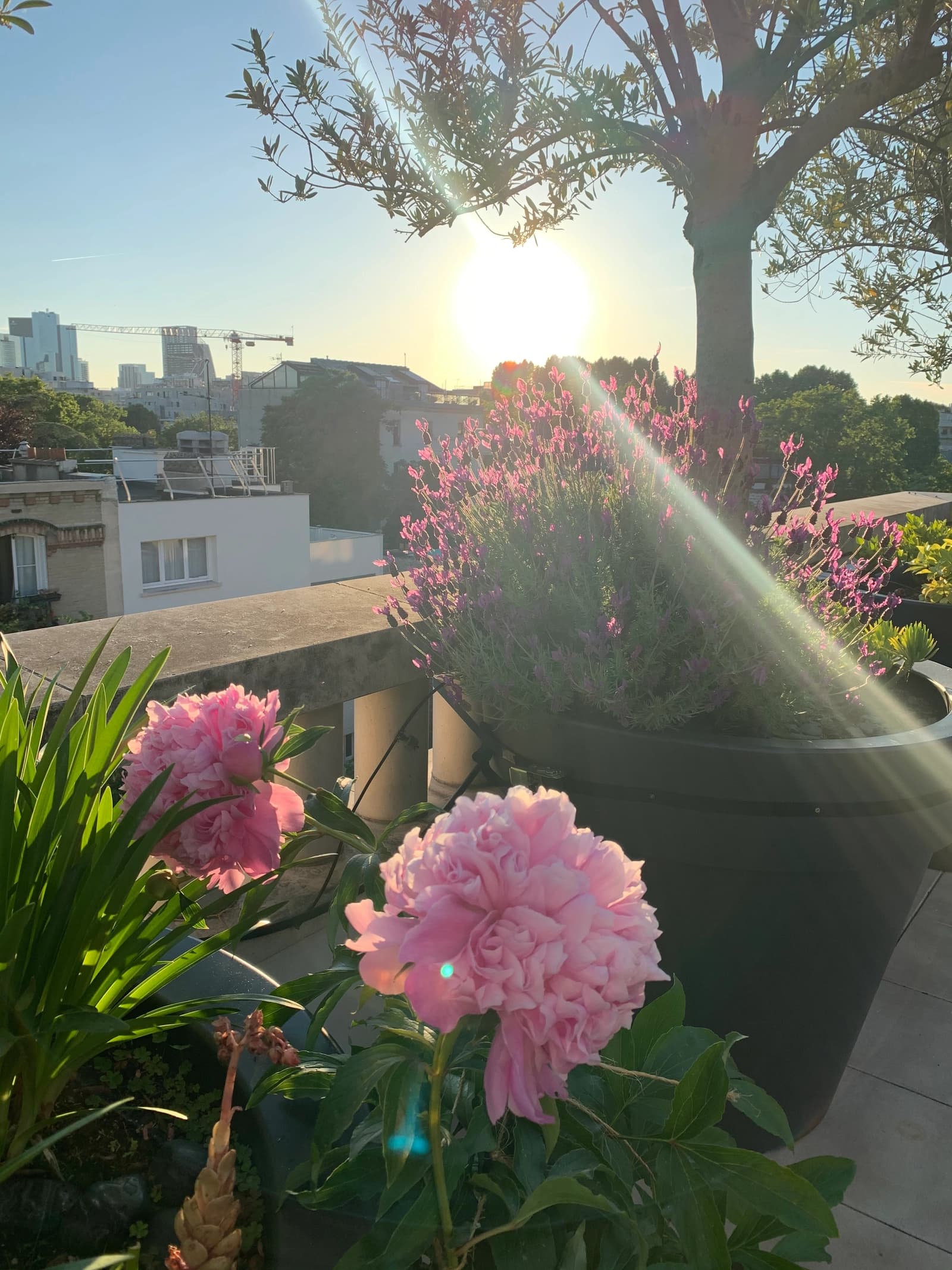 Comedor en Neuilly-sur-Seine: azotea con vistas a La Défense - 1