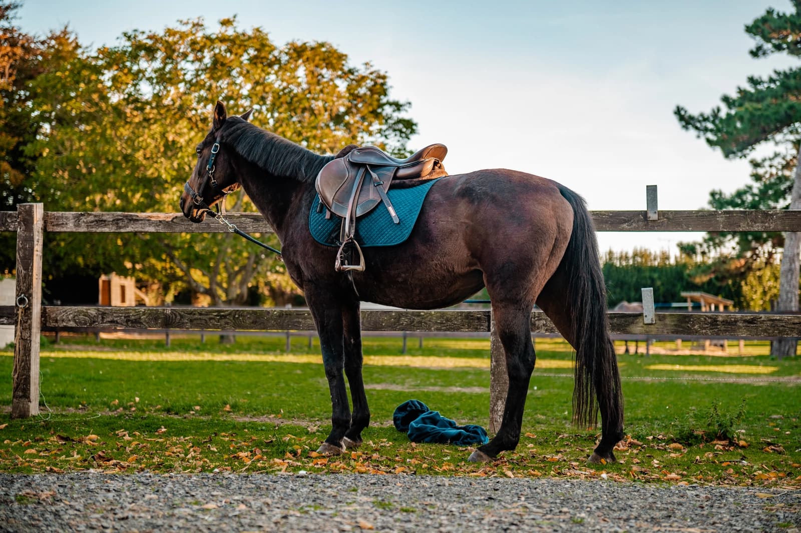 Space Breton Manor Between Land and Sea - 3
