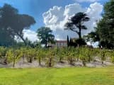 Avatar Domaine