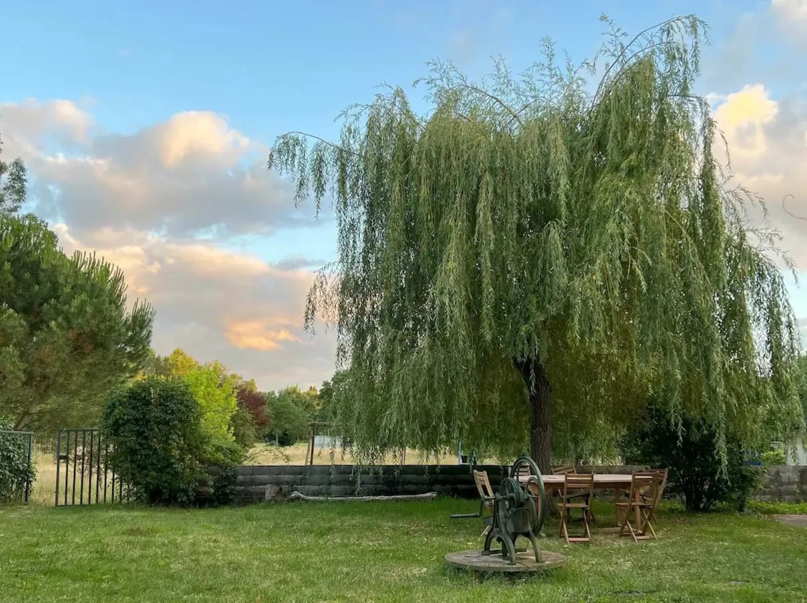 Espace Maison moderne pour une parenthèse verte - 4