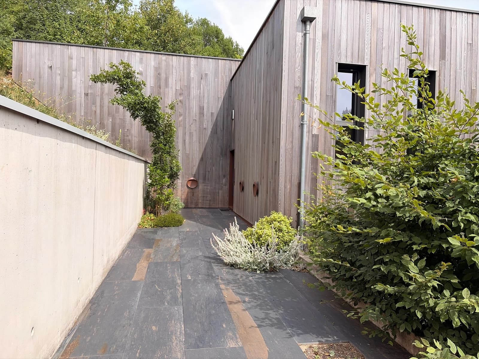 Space An exceptional setting in the heart of nature for your shoots and photo shoots - 4