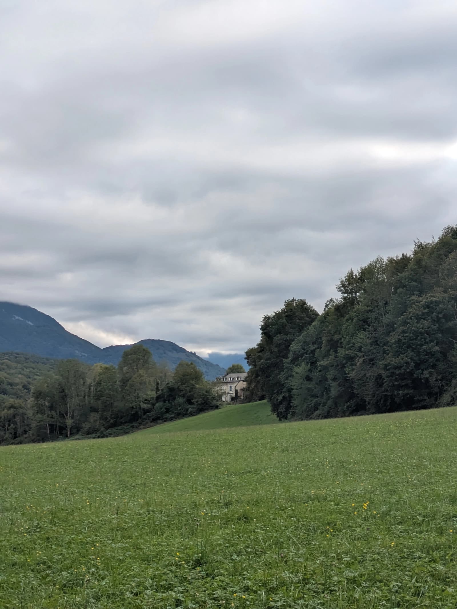 Espace Enclos Pyrénéen en pleine nature - 0