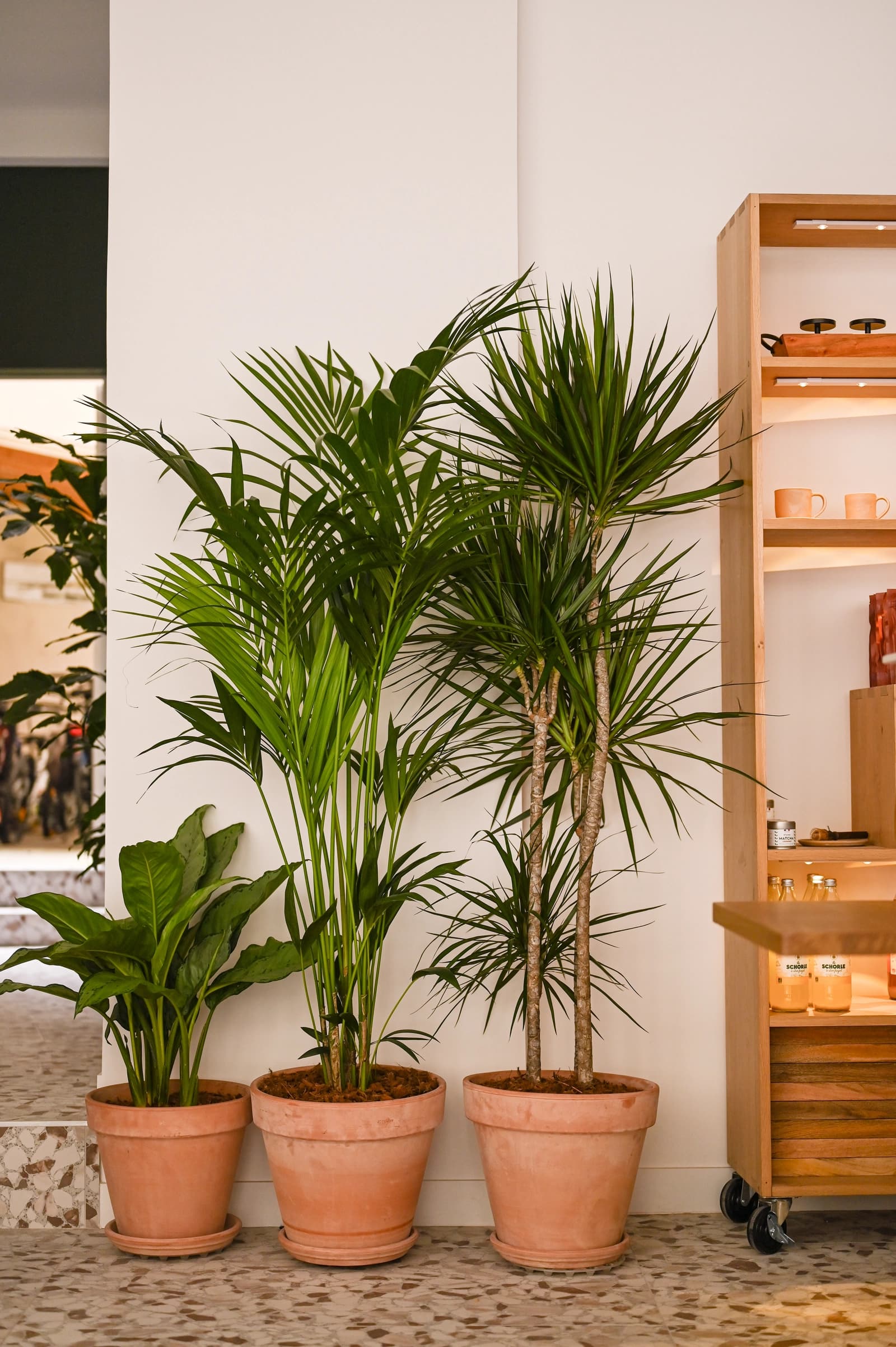 Espace Café coworking cosy et charmant - 1