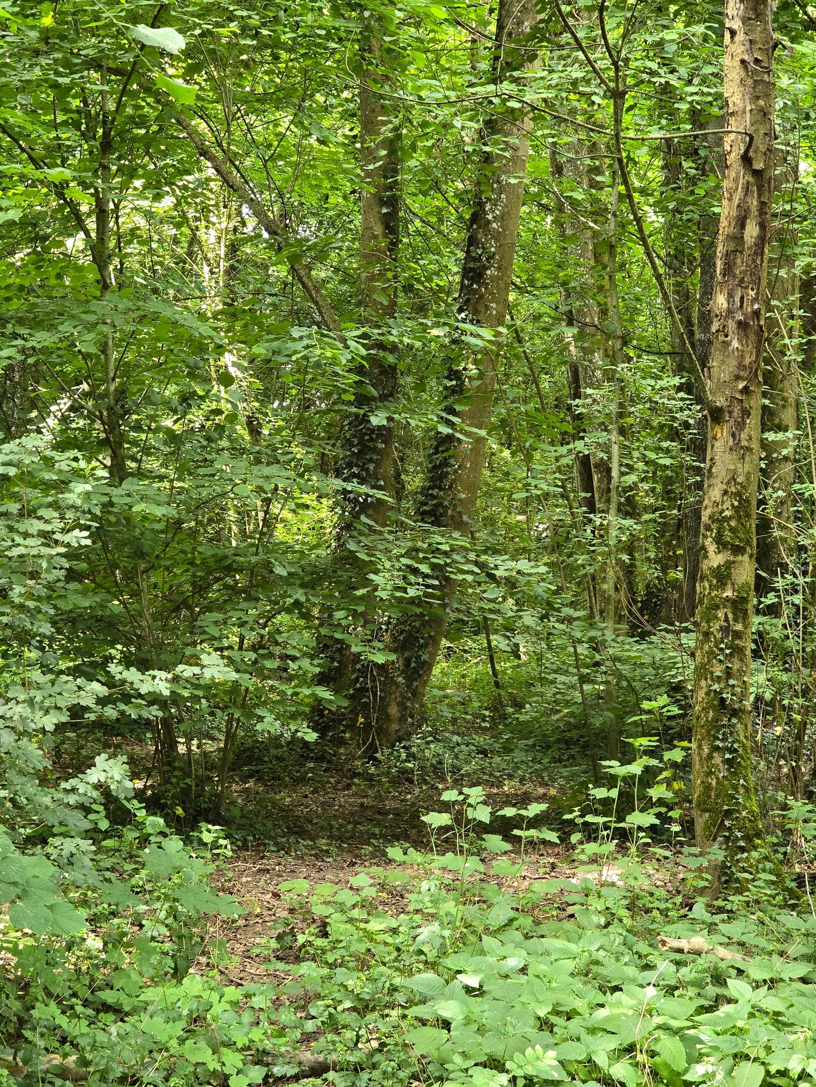 Espace Villa - Décor poétique, lumière naturelle et ambiance haut de gamme - 4