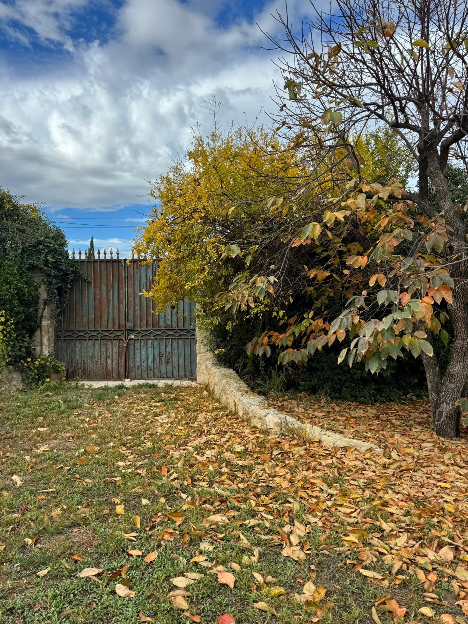 Espace Ancien Mas familial datant de 1606 - 4